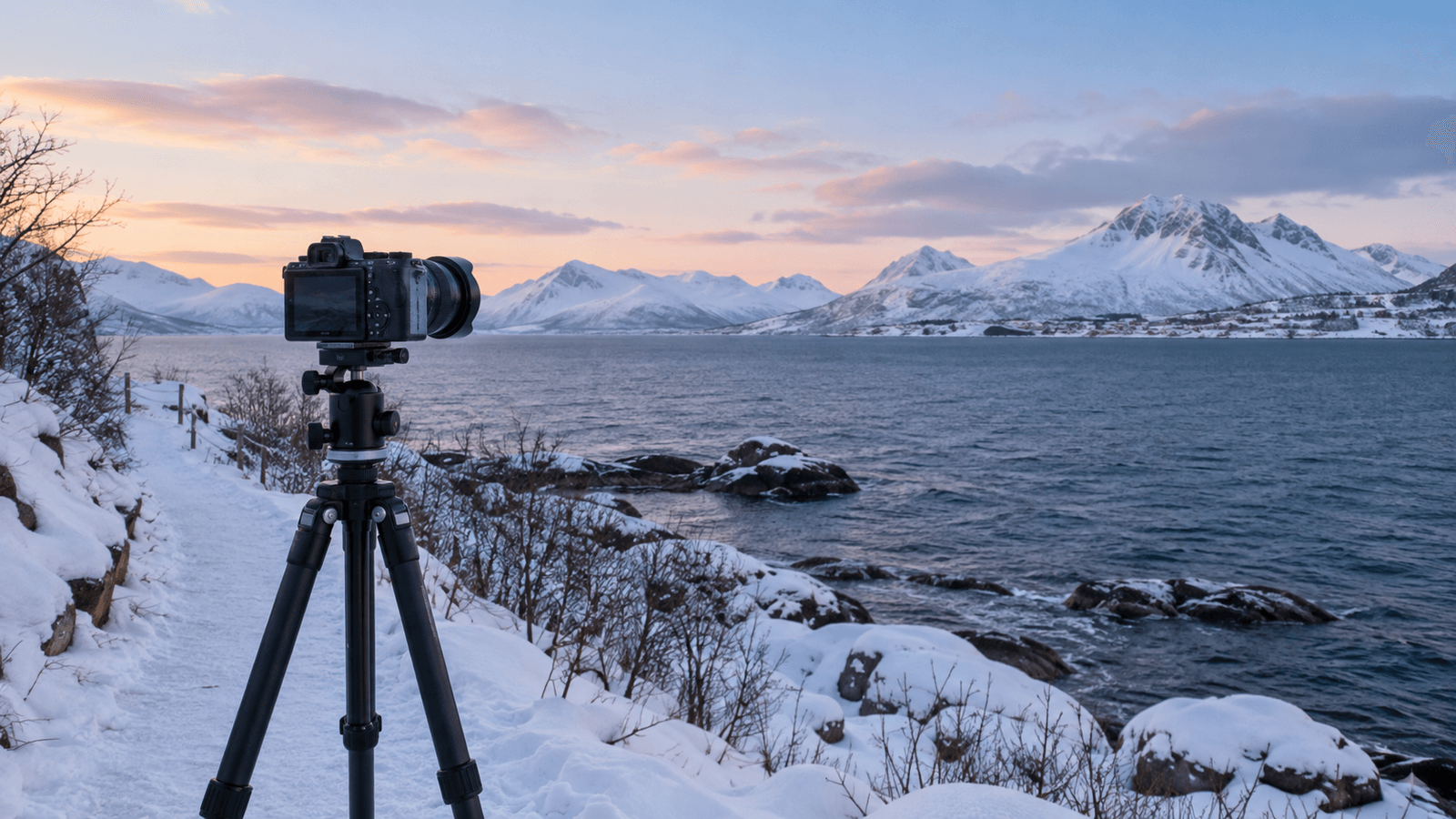 Illustration of a camera on a tripod beside a snow-covered coastal path, with open water and a blue-pink winter sky.
