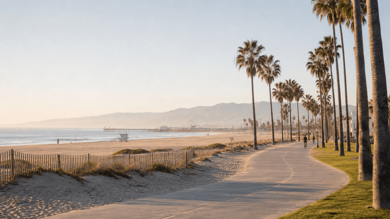 Palms beside a beach path with a pier in the distance