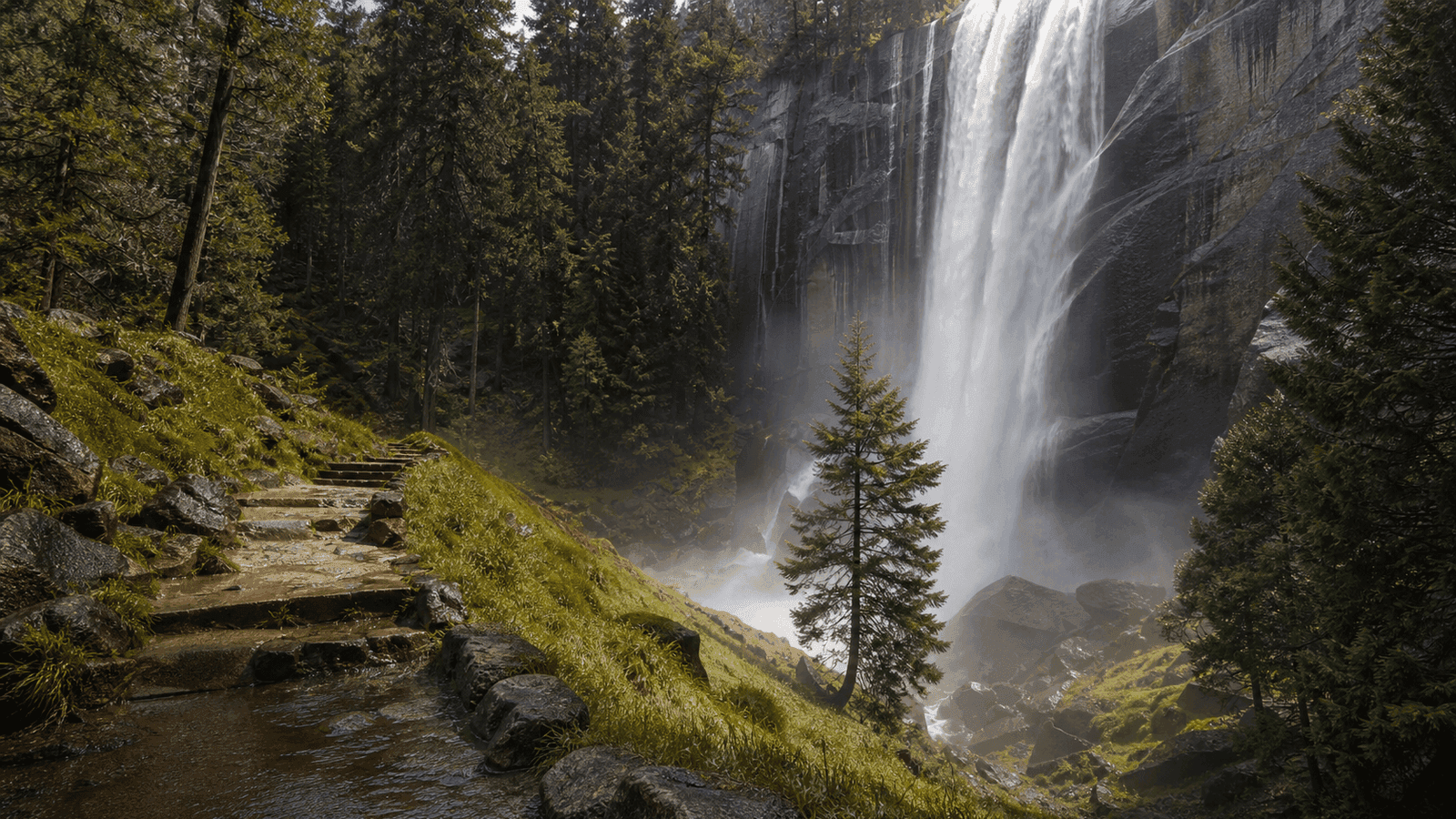 Wet stone steps beside a tall forest waterfall