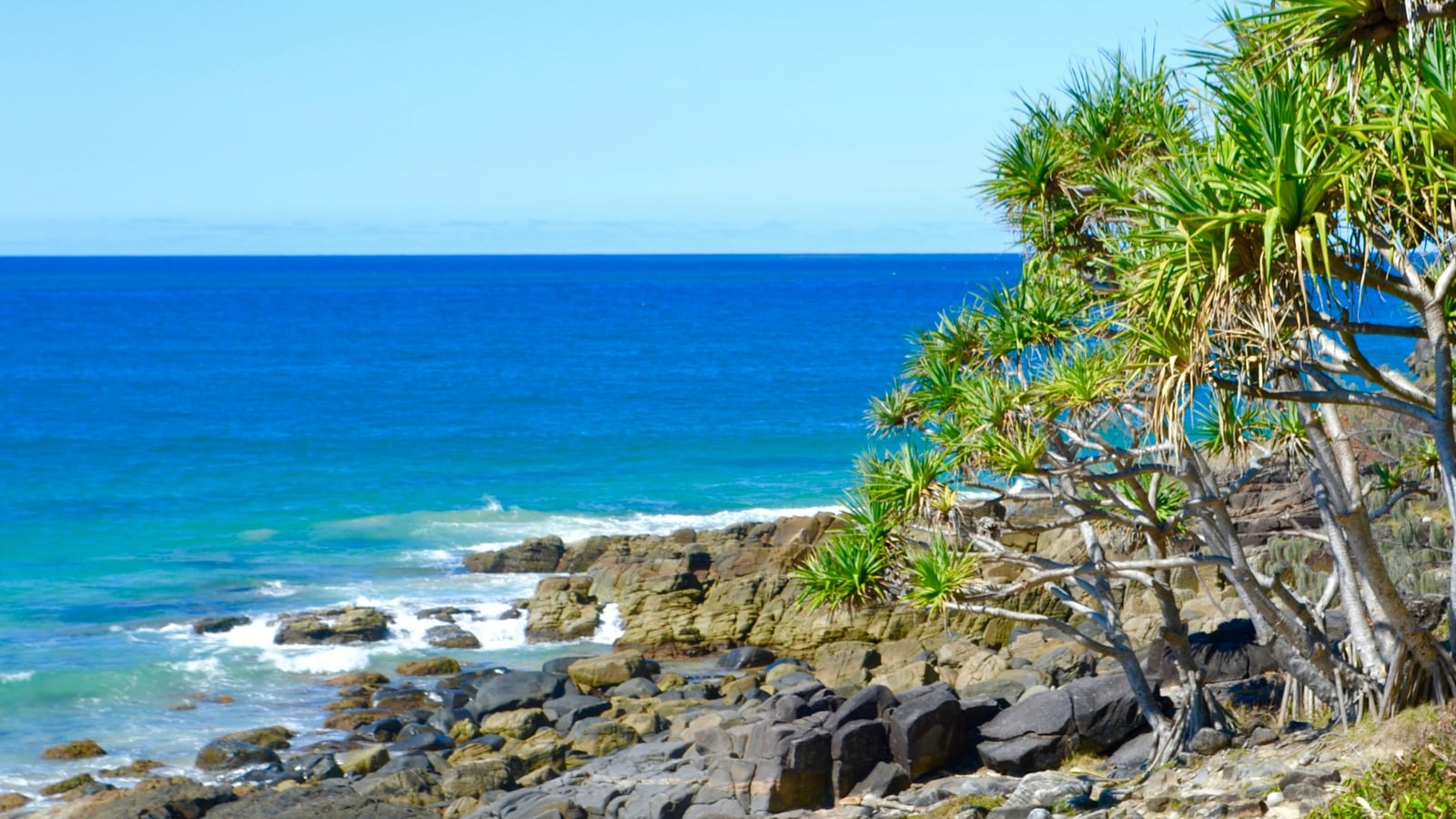 Noosa: coastal walk, beaches and where to stay