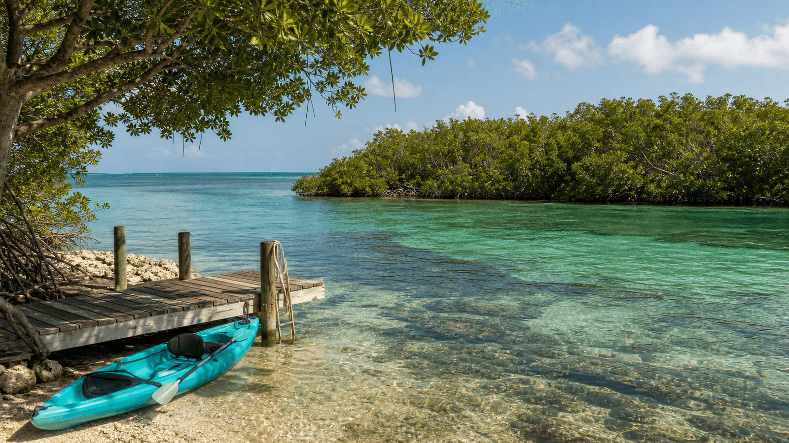 Kayak at a dock beside mangroves and clear water
