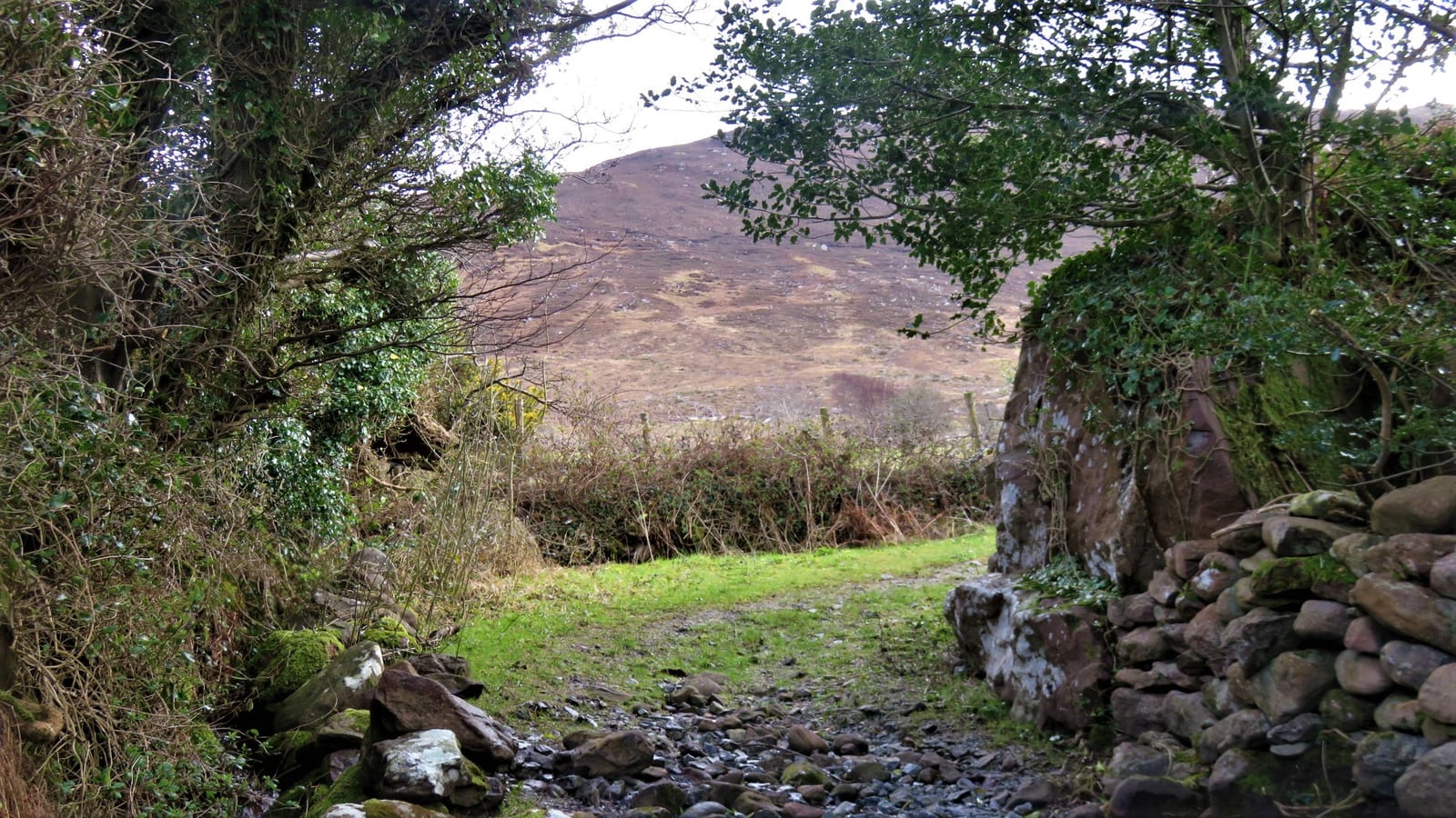 Dingle Peninsula Guide