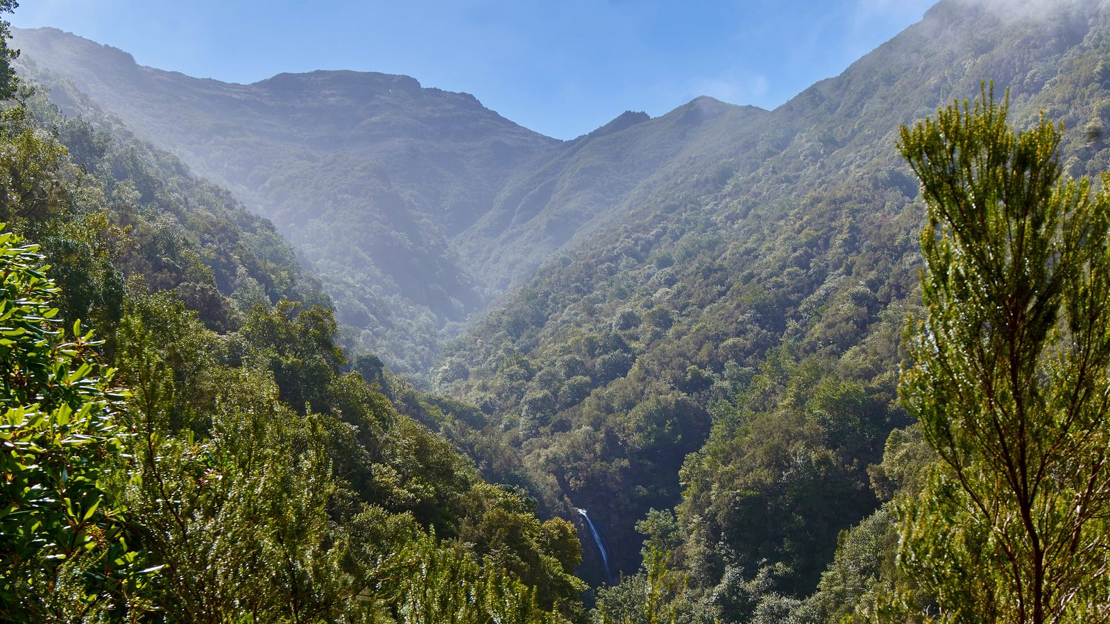 Best Levada Walks in Madeira