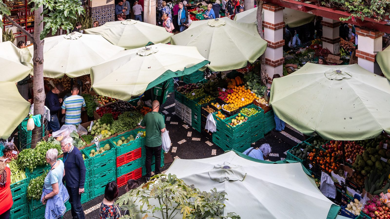 Funchal Madeira Guide