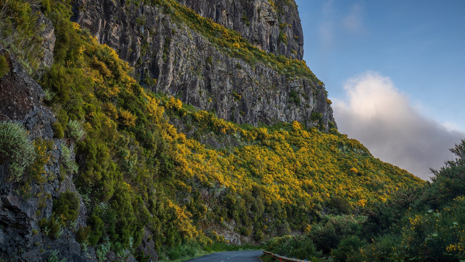 Madeira Road Trip Guide