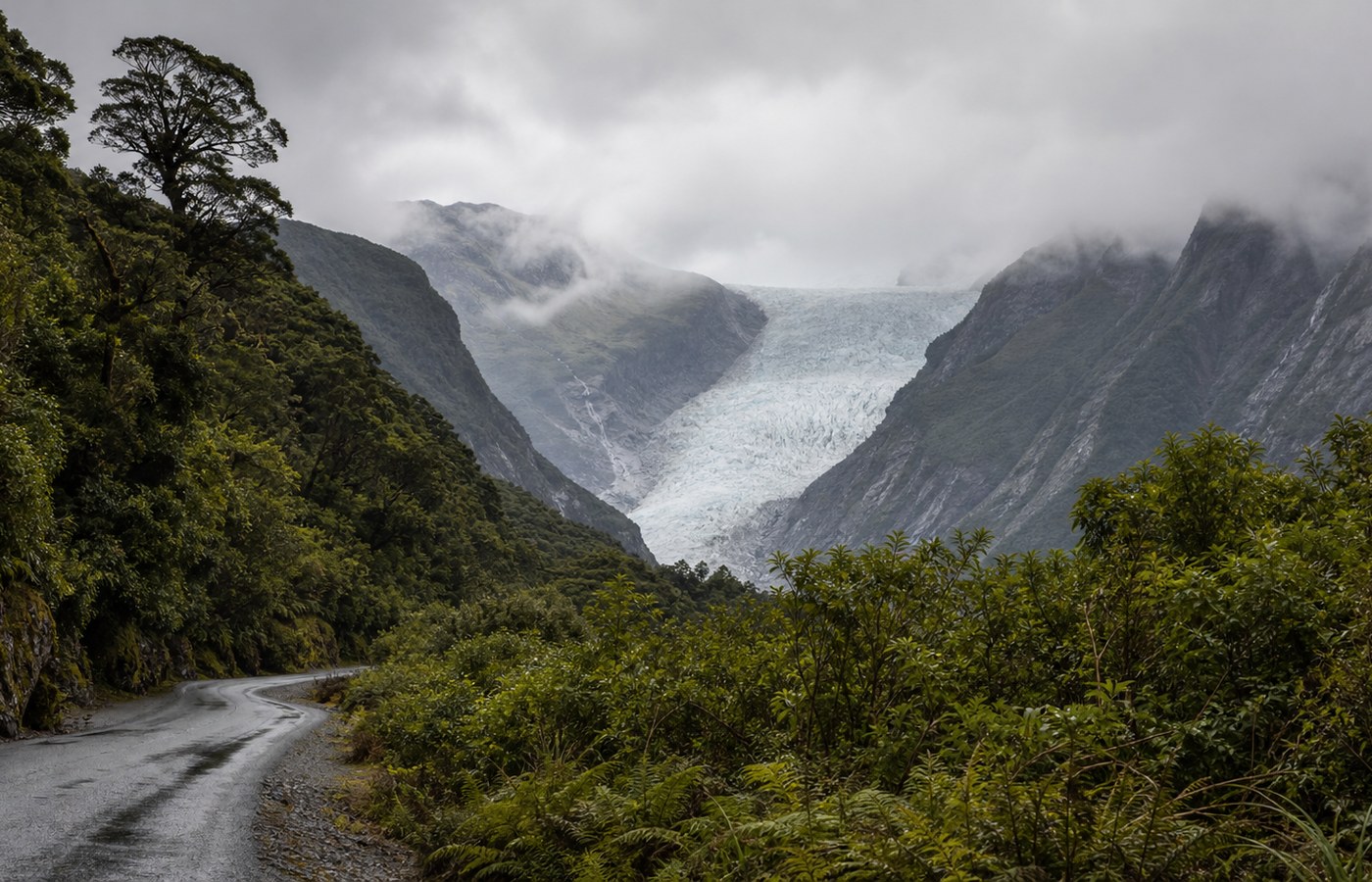 West-Coast-Gletscher Guide