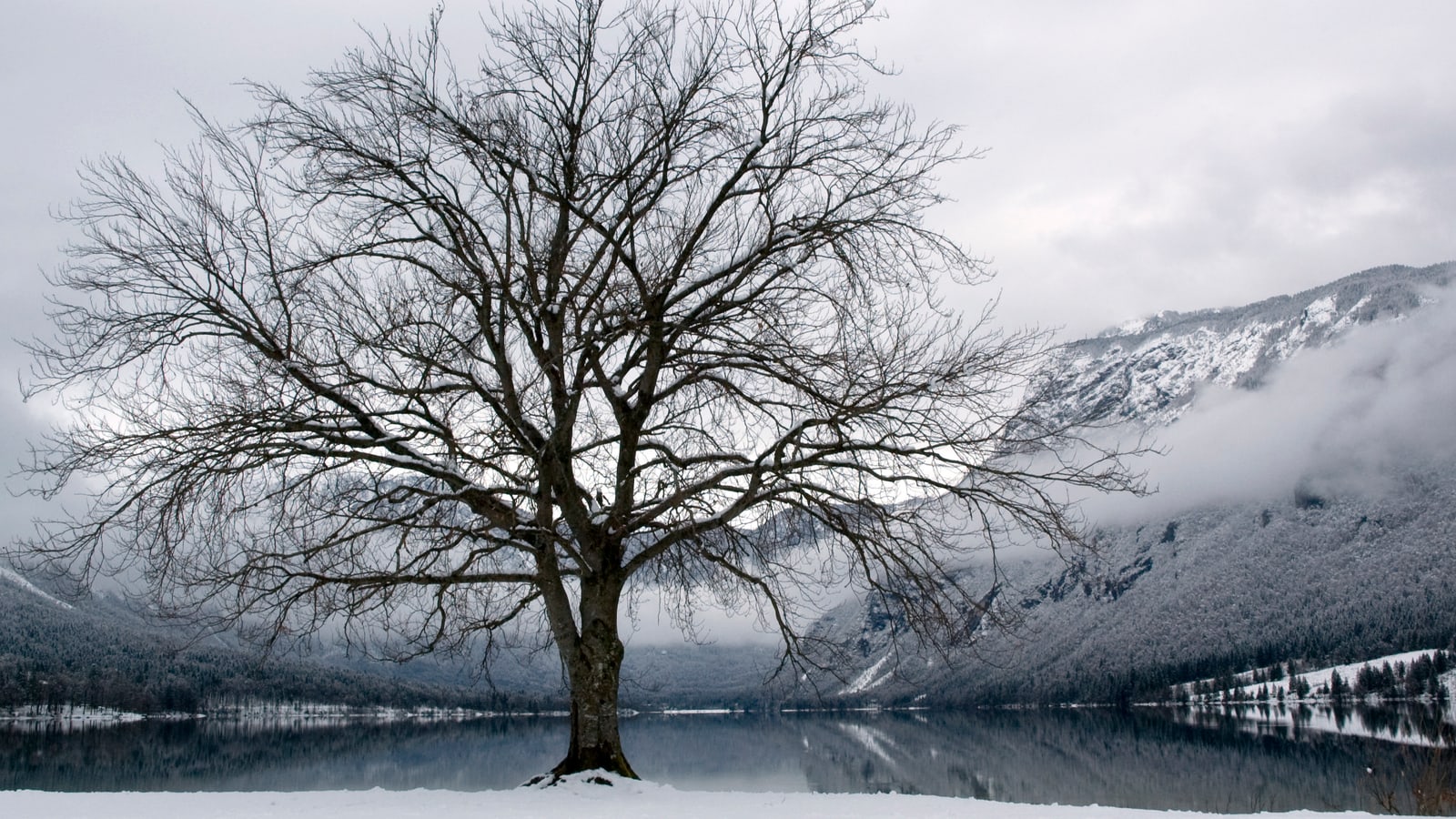 Best Time to Visit Slovenia