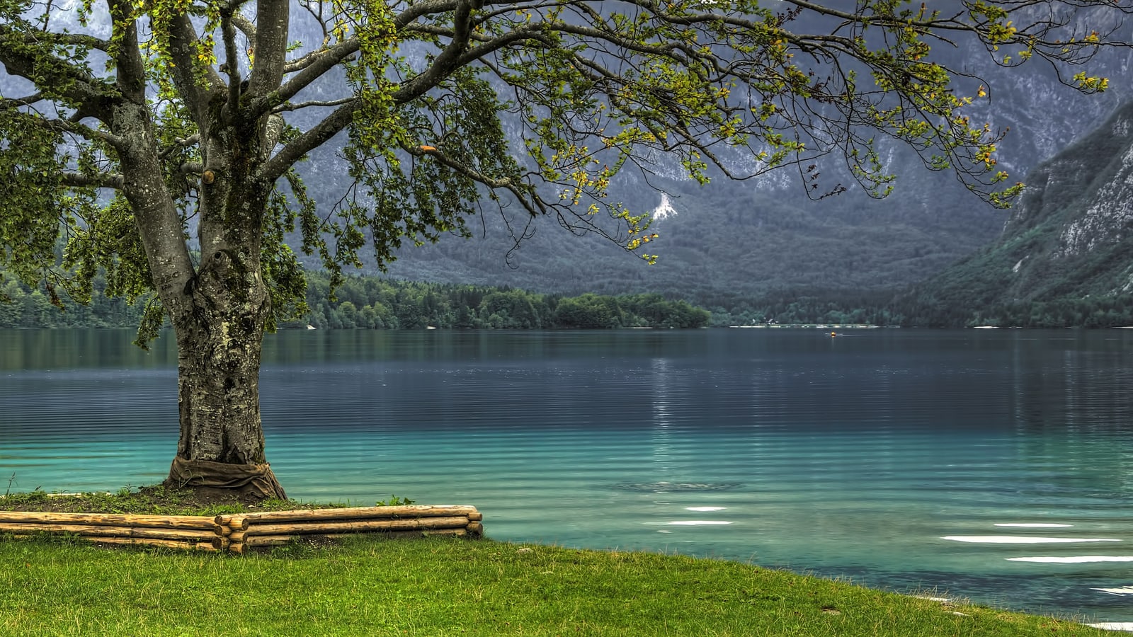 Lake Bohinj Slovenia