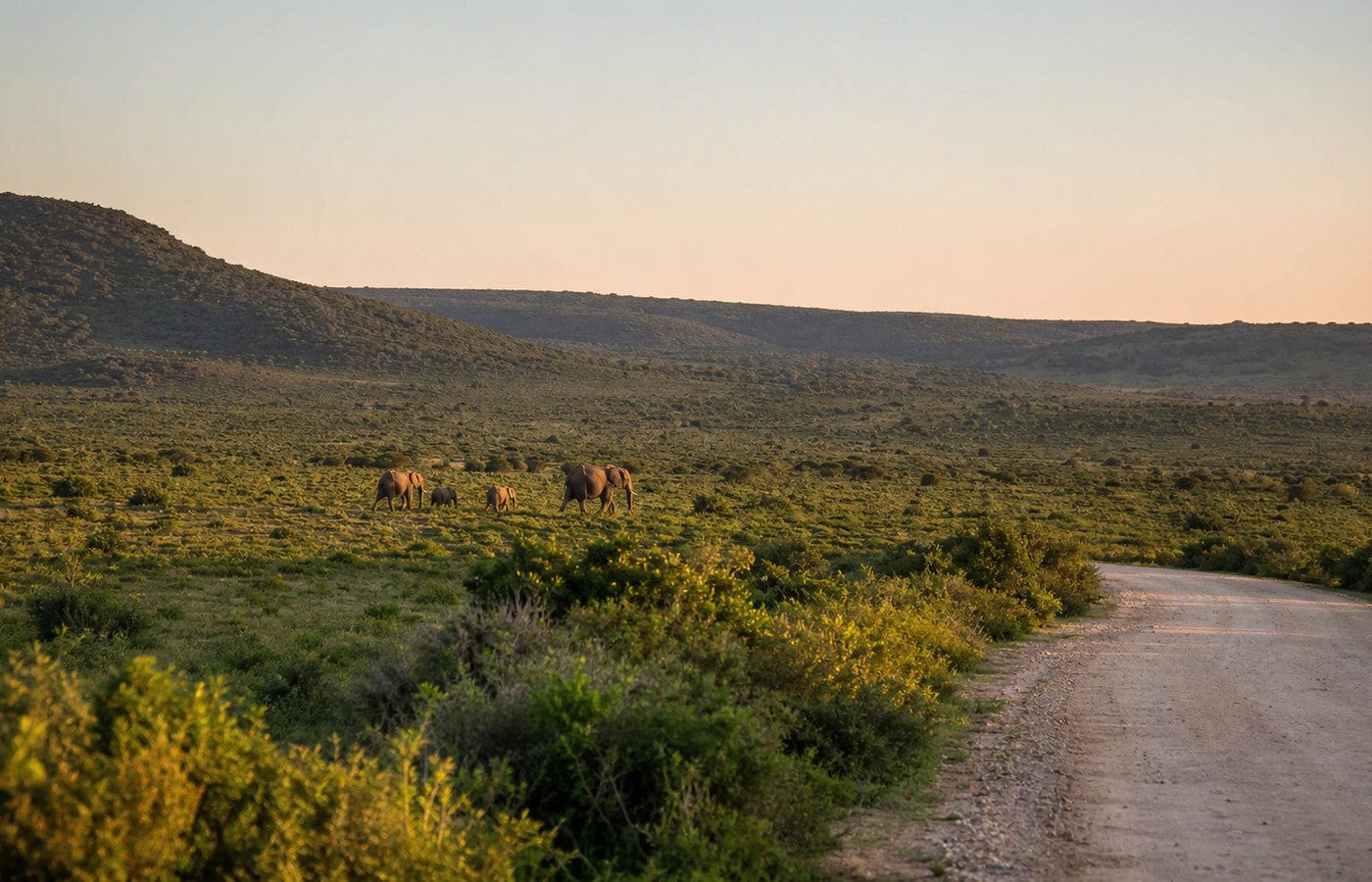 Addo: gates, safari planning and a two-night stay