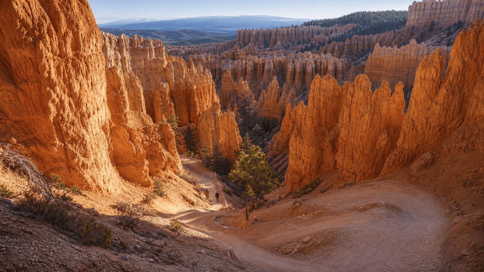 Walking trail among tall orange hoodoos